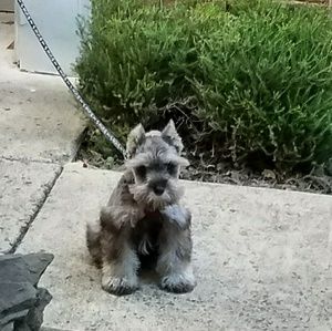 Meet your Posher, Mahboobeh